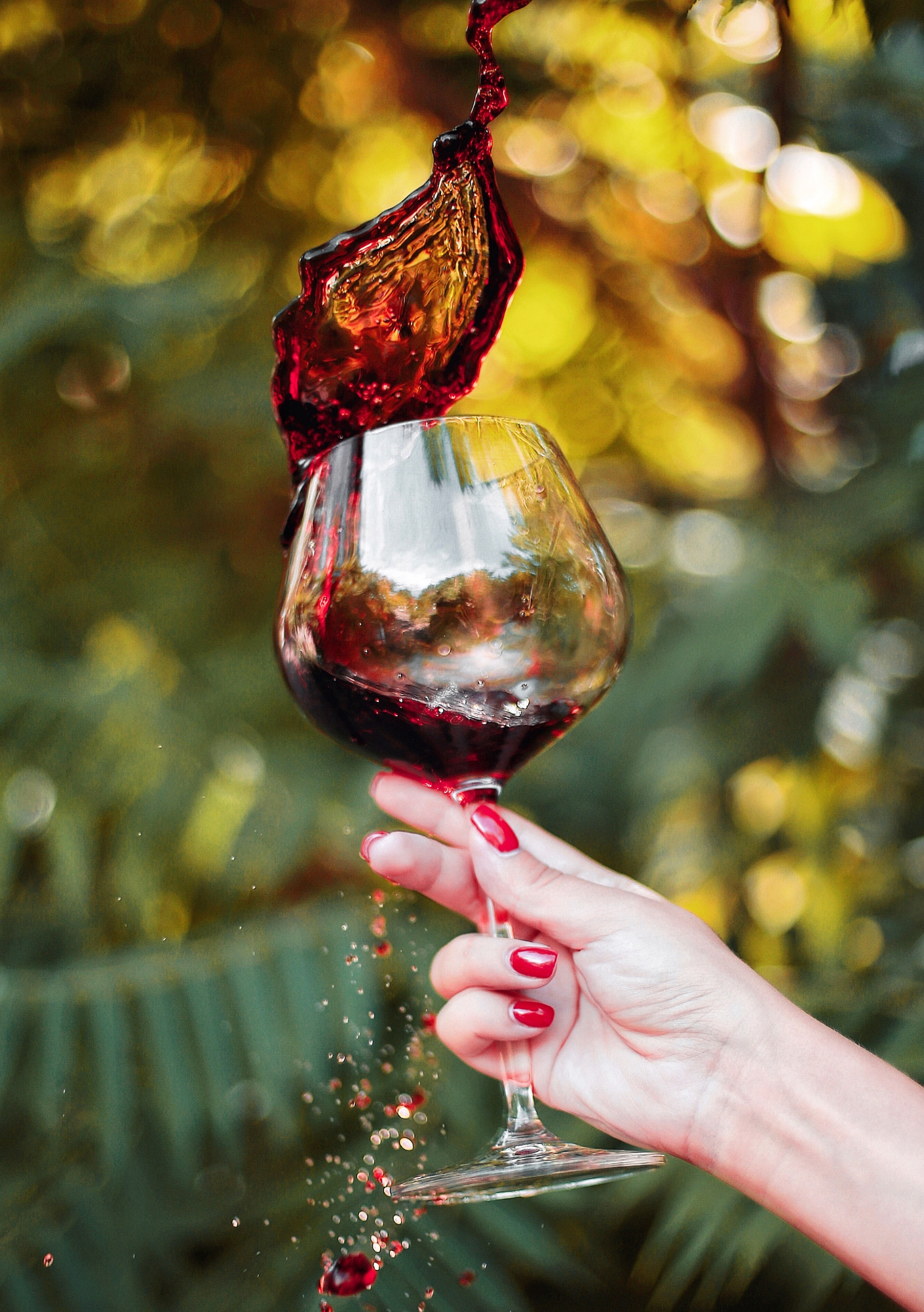 eléments visuels couzon domaine bis