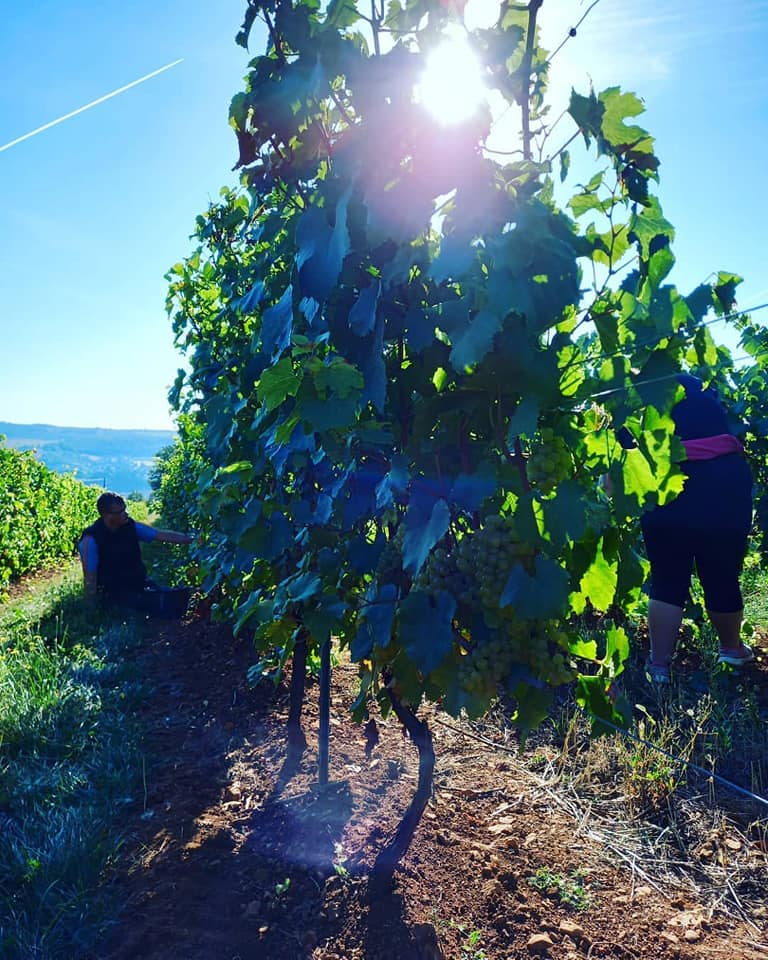 470133388 1734556930733104 1271945946641564059 n