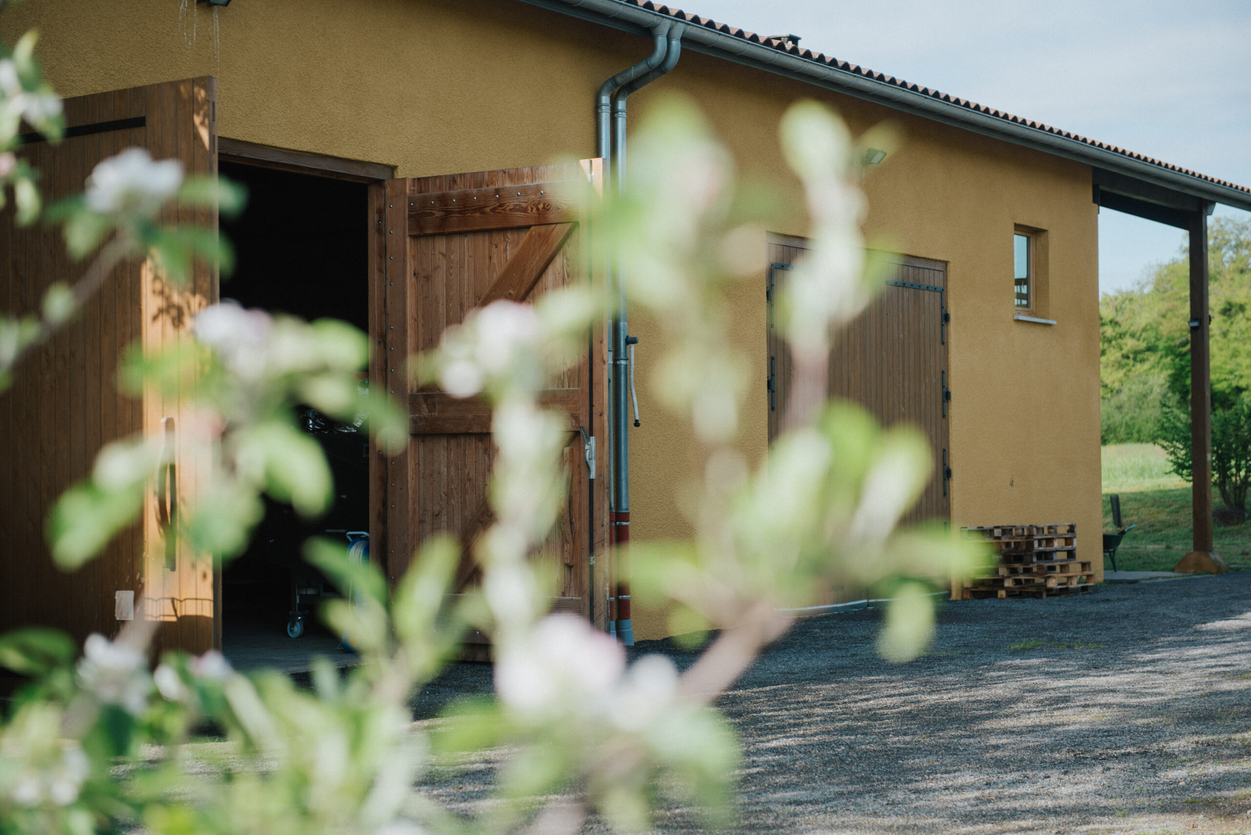 domaine famille couzon 